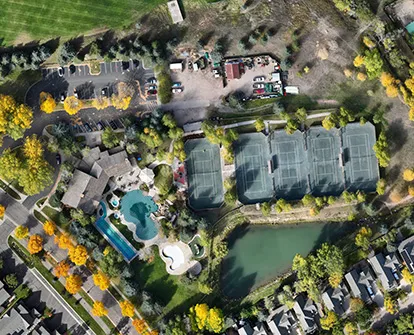 High resolution overview of suburban tree canopy