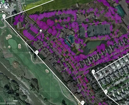 Overview and tree count of suburban area